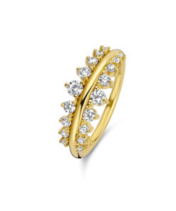 Ring Spirit Icons 51192