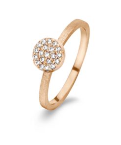Ring Spirit Icons 53214
