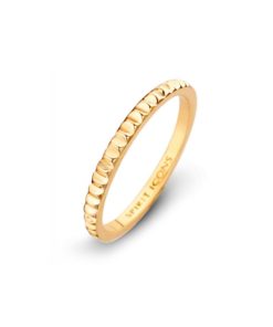 Ring Spirit Icons 53472