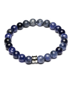 Armband Gemini A2 Blue