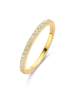 Ring Naiomy B0Y04