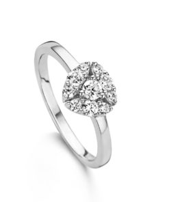 Ring Naiomy B5F04