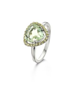 Ring Naiomy B5H04