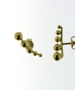 Oorbel goud
