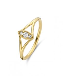 Ring Spirit Icons 51292