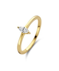 Ring Naiomy B1B06