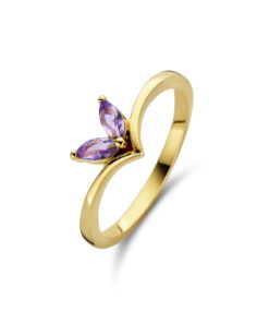 Ring Naiomy B1B13