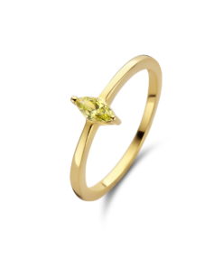Ring Naiomy B1B22