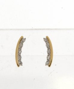 Oorbel goud