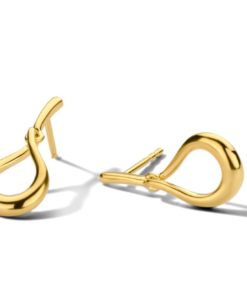 Oorbel goud