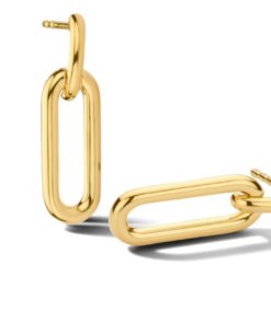 Oorbel goud
