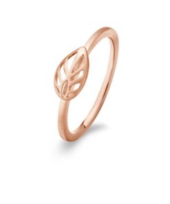 Ring Spirit Icons 53034